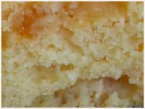 gateau-au-yaourt-aux-abricots