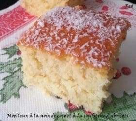 moelleux-a-la-noix-de-coco22