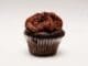Cupcake sans levure