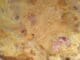 Omelette aux lardons et au fromage