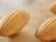 Madeleines nature