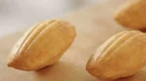 Madeleines nature