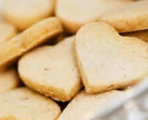 Biscuit Nature